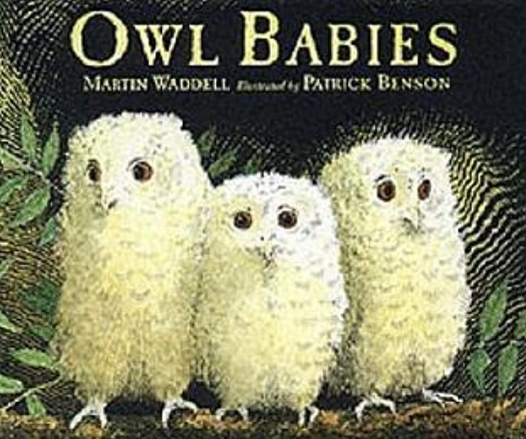 owl-babies-1.jpg