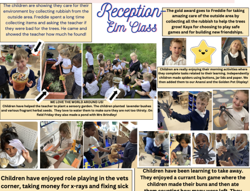 EYFS Newsletter 17th May 2024