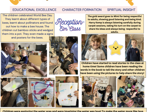 EYFS Newsletter 24th May 2024