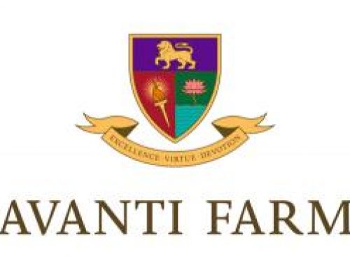 Plans for Avanti Farm all-through school reach the media